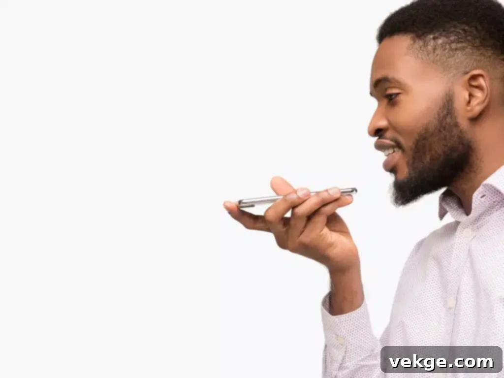 Choose a Voice Assistant Hub