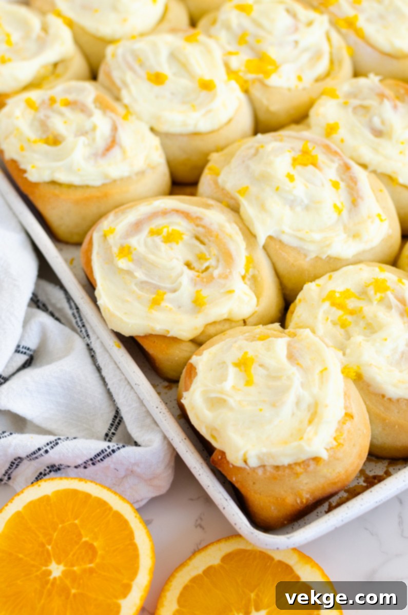 Sweet Orange Swirls 1 featured 10157