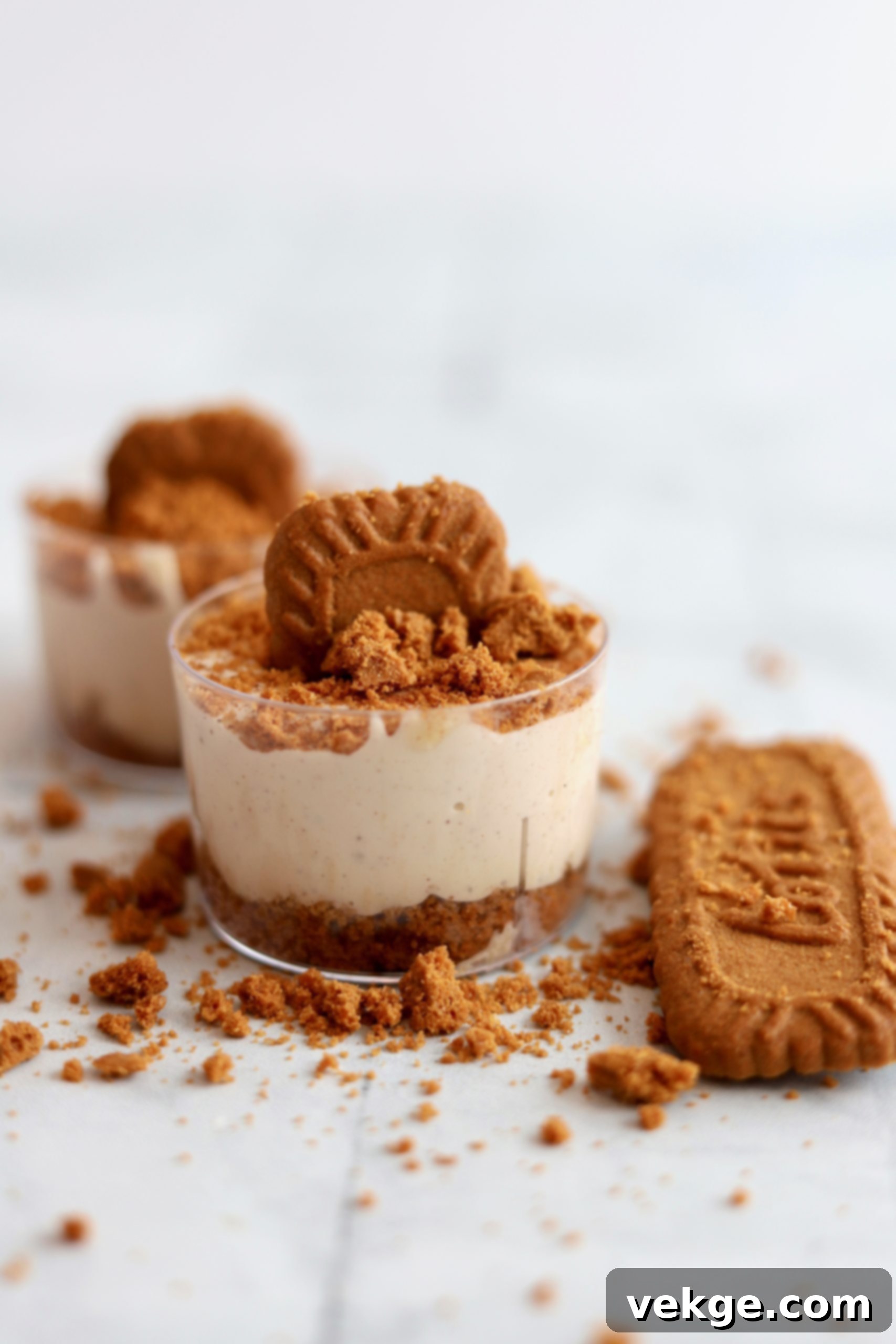 Spiced Biscoff No-Bake Cheesecake Cups 1 featured 2479