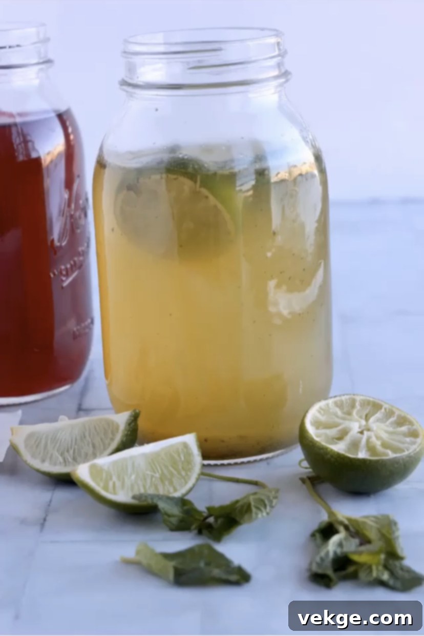 Sparkling Gut Elixir 1 featured 841