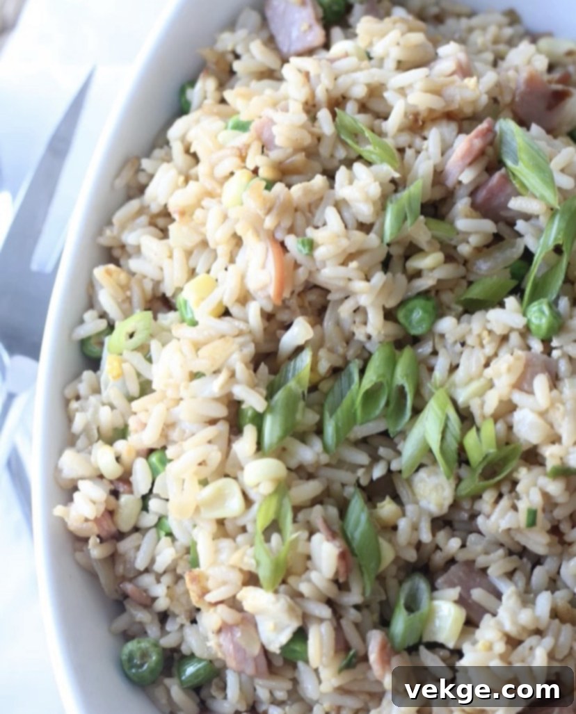 Homestyle Ham Fried Rice 1 featured 914