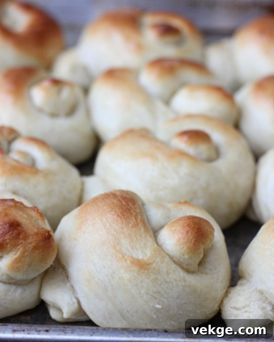 Grandma's Melt-in-Your-Mouth Butter Rolls 3 Close-up of dough being kneaded in a stand mixer, showcasing its elasticity.