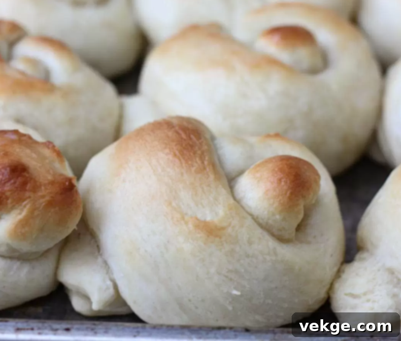 Grandma's Melt-in-Your-Mouth Butter Rolls 4 A close-up of a perfectly baked, golden-brown knotted butter roll, ready to be served.