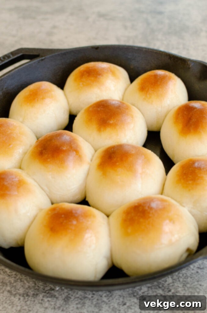 Freshly baked classic white dinner rolls in a baking dish, golden brown and soft.