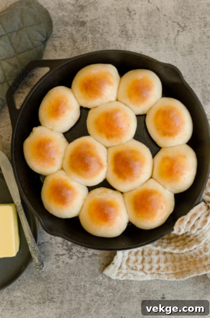 Puffy, risen dinner rolls ready for baking in a baking dish.