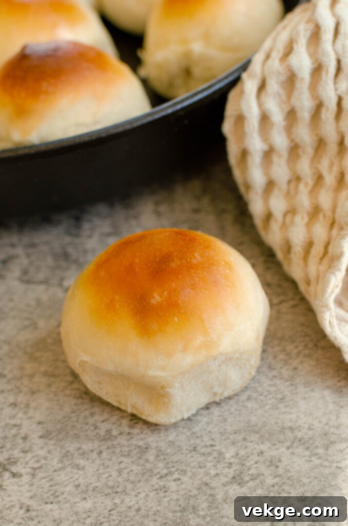 Seven delicious, golden dinner rolls on a wooden surface.