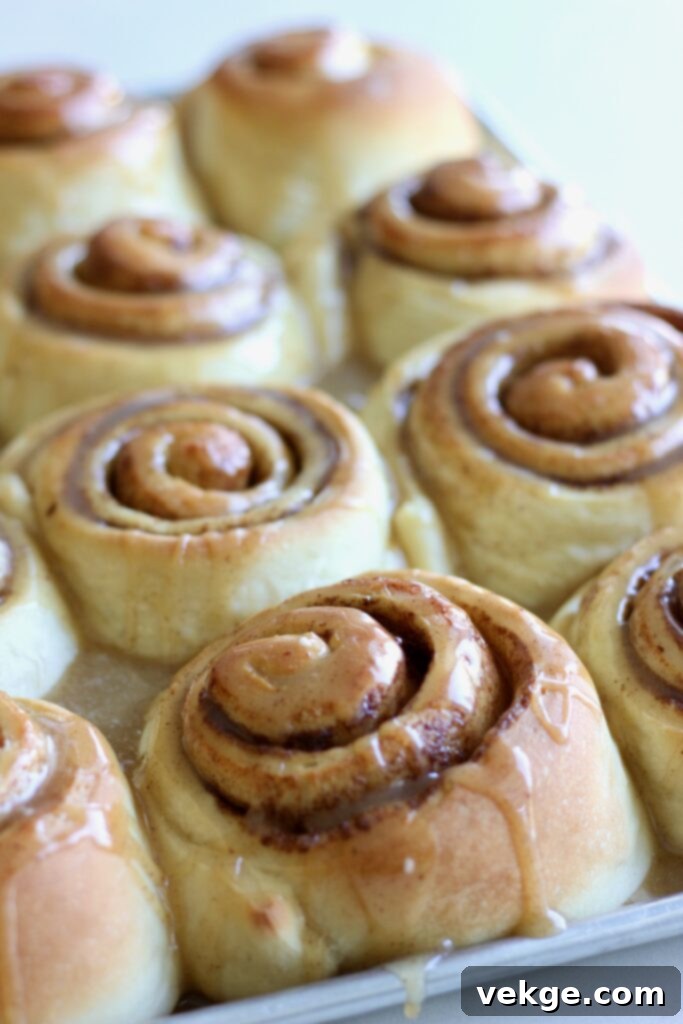 Giant Cinnamon Swirls with Golden Brown Butter Glaze 2 Jumbo Cinnamon Rolls with Brown Butter Glaze