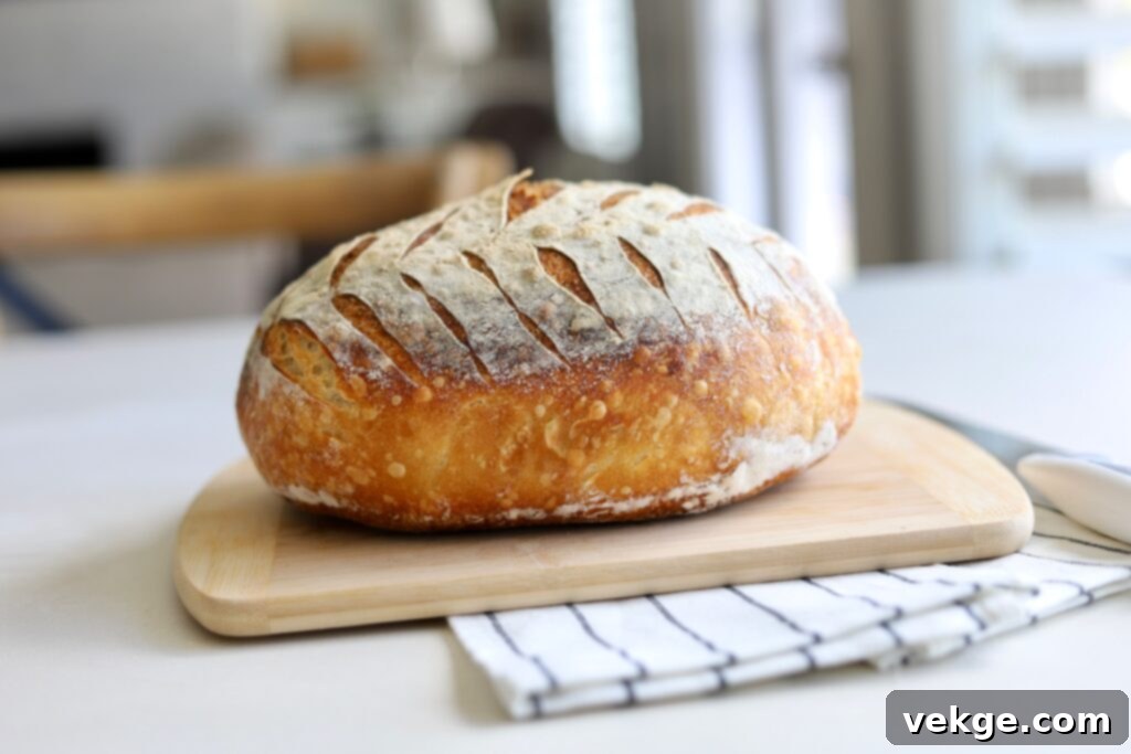 Effortless Dutch Oven Sourdough 3 Freshly baked sourdough bread on a cooling rack