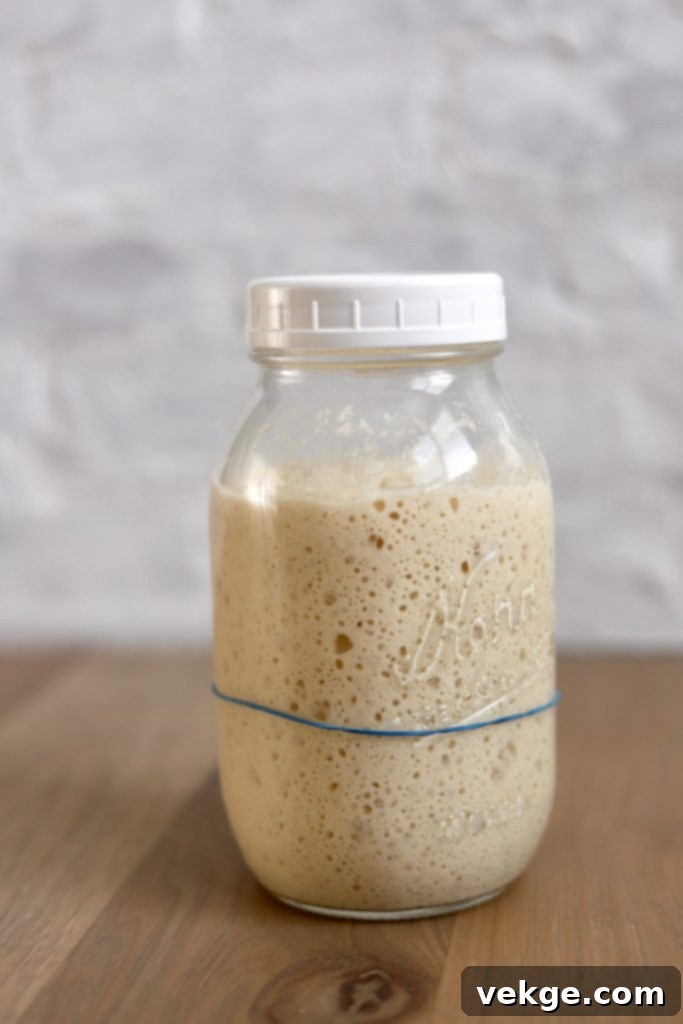 Effortless Dutch Oven Sourdough 6 Active sourdough starter in a glass jar