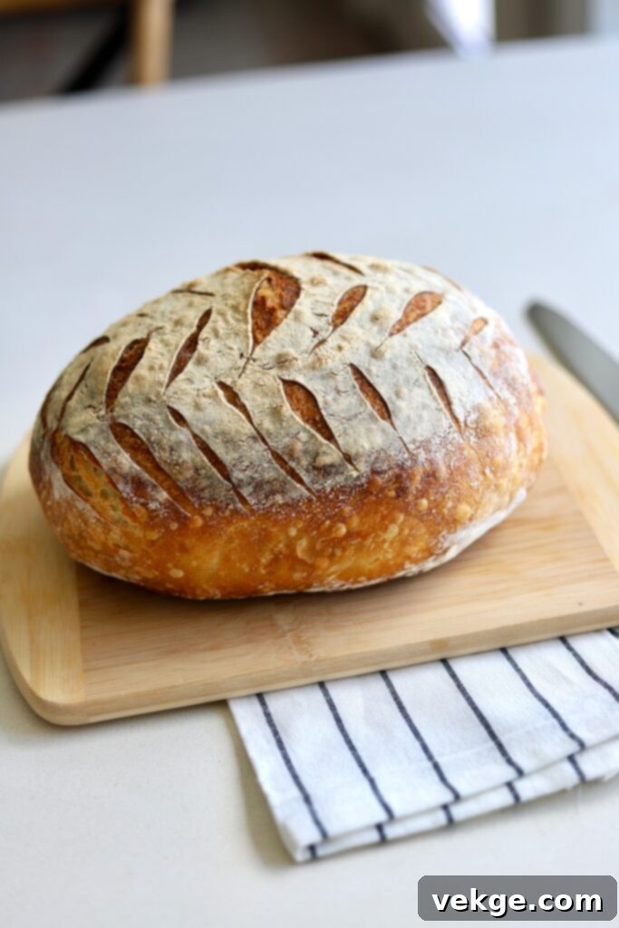 Effortless Dutch Oven Sourdough 8 Close-up of a perfectly scored and baked sourdough loaf
