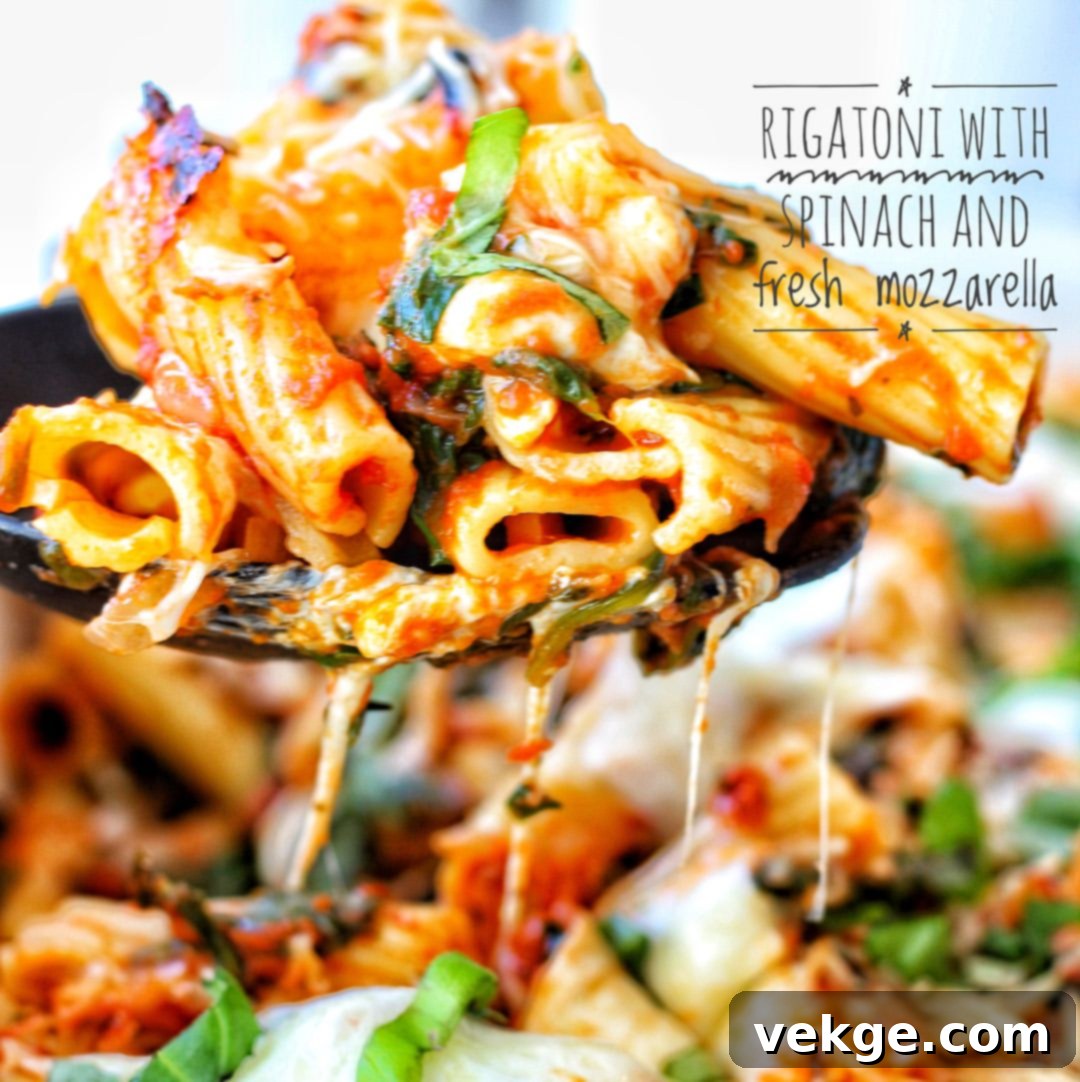 Vibrant Spinach and Fresh Mozzarella Rigatoni 2 Delicious baked rigatoni with spinach and melted fresh mozzarella, served hot