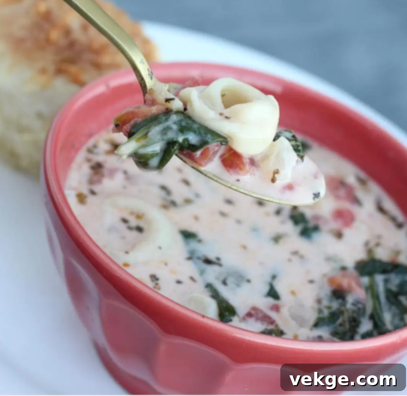 Hearty Tuscan Tortellini Soup 4 Delicious Tuscan Tortellini Soup in a bowl ready to be served.