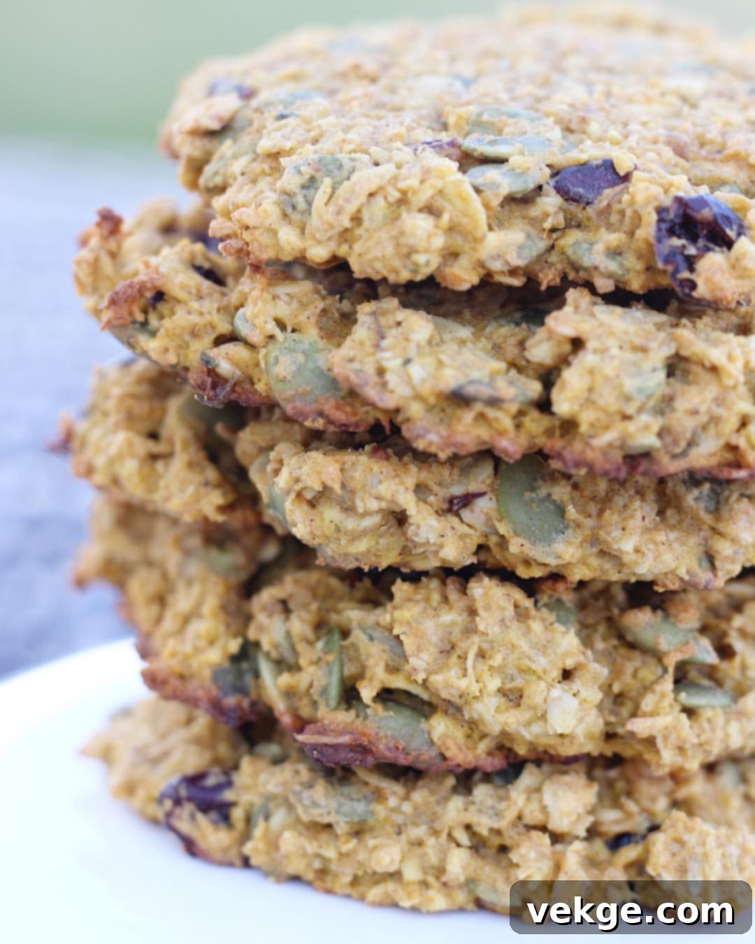 Pumpkin Cranberry Breakfast Cookies 2 Delicious and healthy pumpkin cranberry breakfast cookies on a cooling rack, ready to eat.