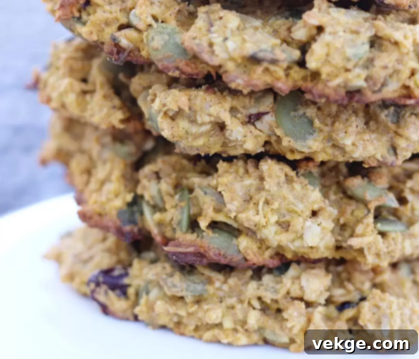 Pumpkin Cranberry Breakfast Cookies 4 A beautifully styled image of Pumpkin Cranberry Breakfast Cookies, tempting and delicious.