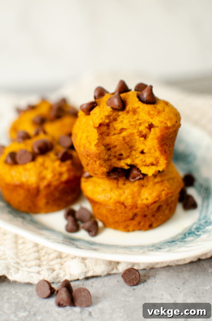 Close-up of golden brown pumpkin chocolate chip muffins cooling on a wire rack.