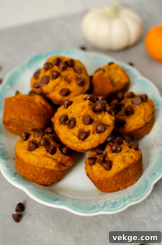 Stack of pumpkin chocolate chip muffins on a plate, ready to be served.