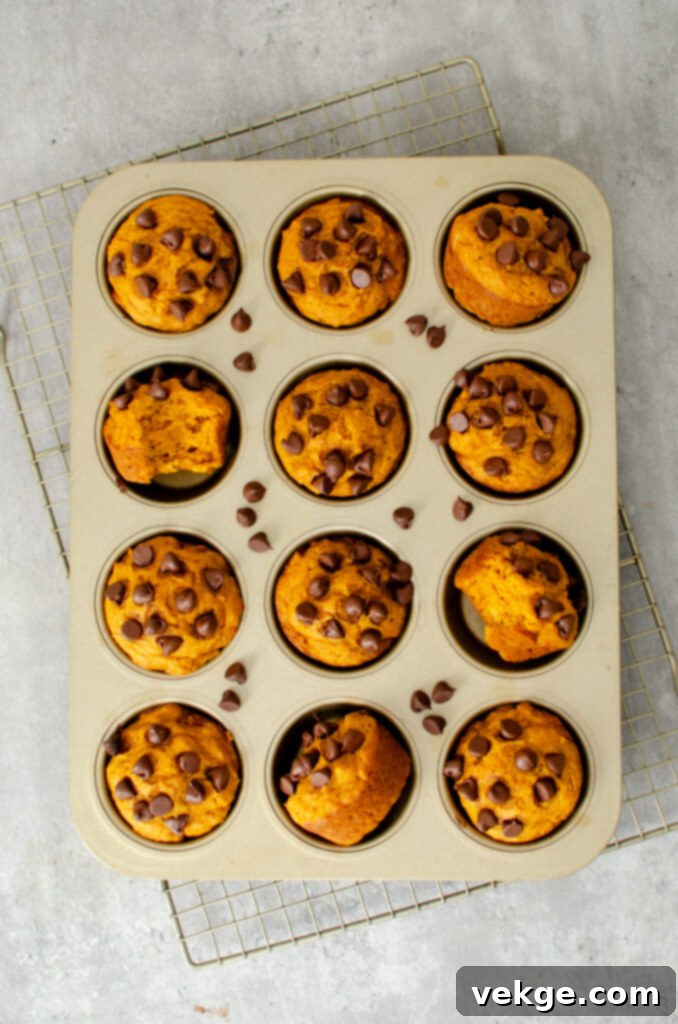 Assortment of pumpkin baked goods, including pumpkin chocolate chip muffins and other treats.
