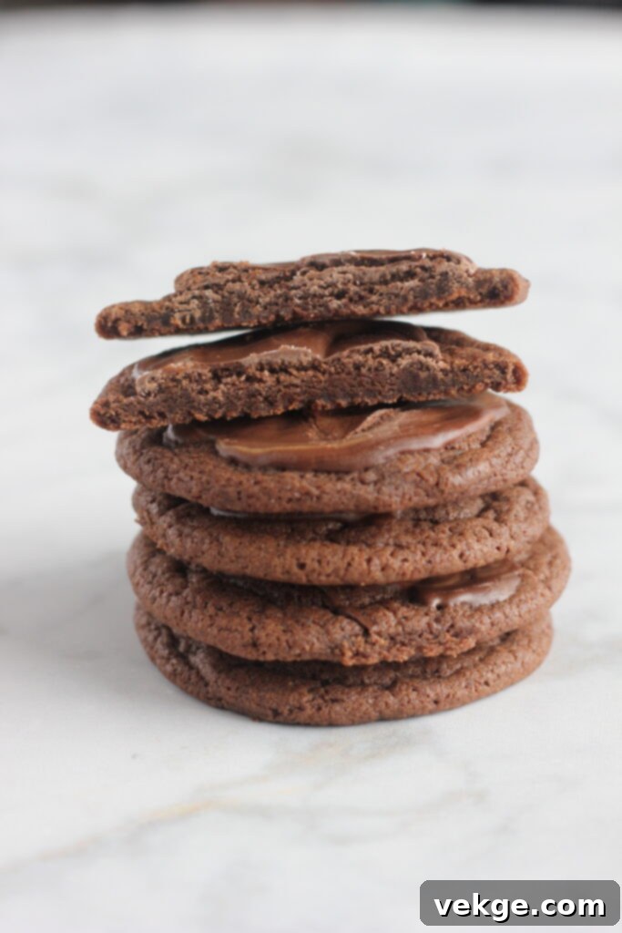 Decadent Andes Mint Cookies 6 Chewy chocolate cookies