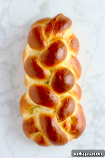 Intricate Six-Strand Bread 4 A partially braided six-strand bread loaf.