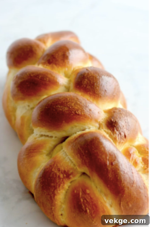 Intricate Six-Strand Bread 5 A freshly baked six-strand braided bread.