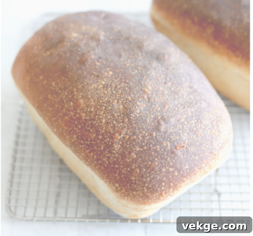 Artisan Sourdough Sandwich Loaf 21 Natural Yeast Sourdough Sandwich Bread