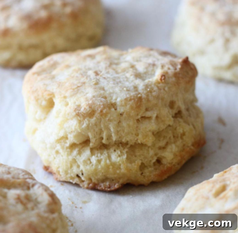 Unbelievably Fluffy Homemade Biscuits 4 A freshly baked biscuit with golden brown crust, ready to be served.