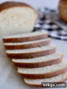 Sourdough German Oven Puff 4 A close-up shot of a baked Sourdough German Pancake, golden brown and puffed, drizzled with maple syrup and fresh berries.