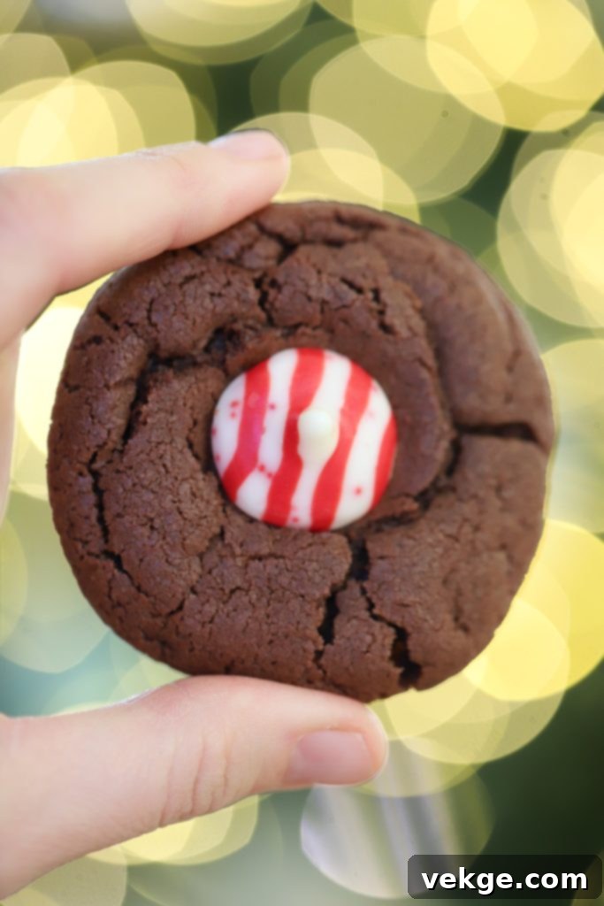 Delicious Chewy Chocolate Cookies with festive Peppermint Kisses on top, perfect for Christmas.