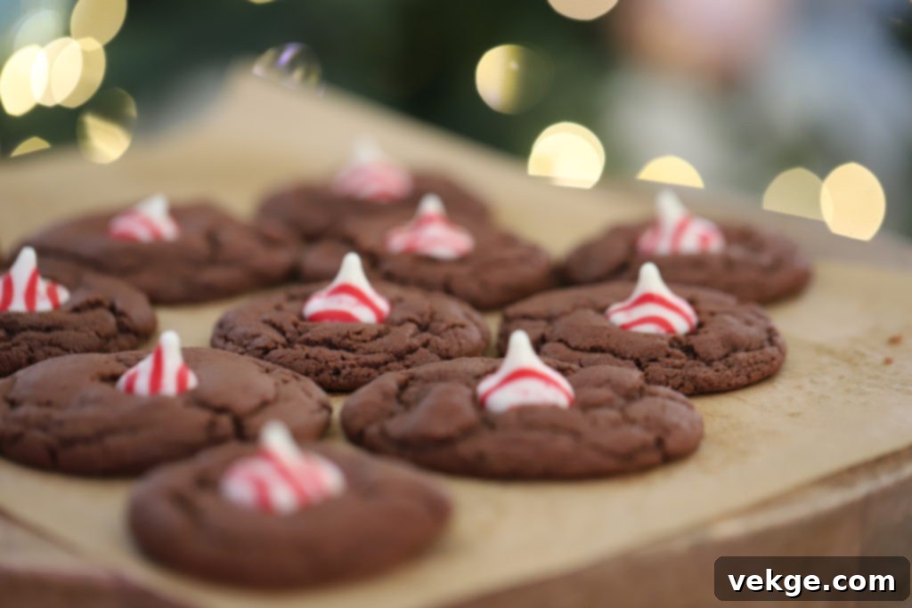 Up-close shot of a batch of chocolate cookies with peppermint kisses, showing their texture.