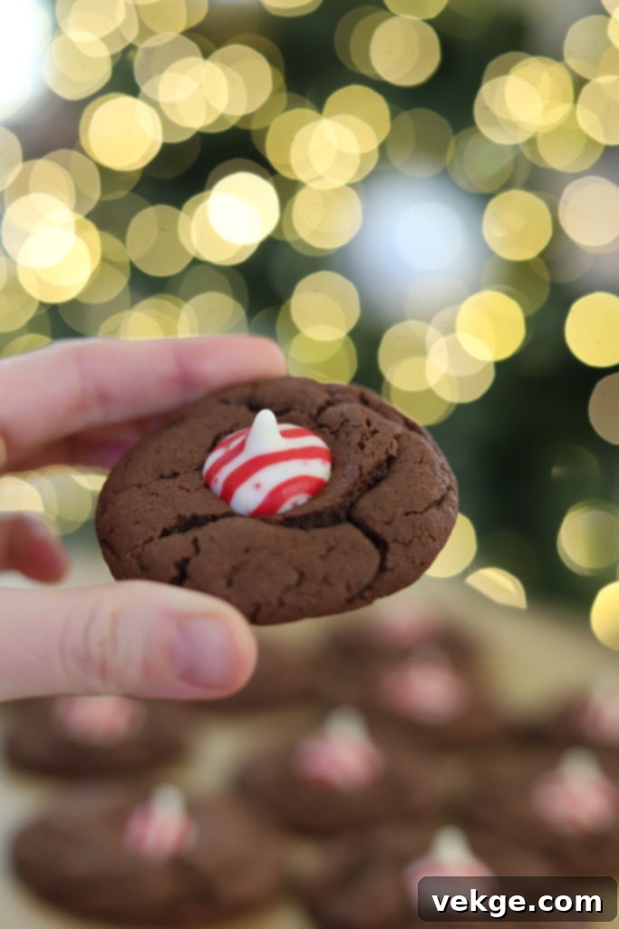 Close-up of baked chocolate cookies ready for peppermint kisses.