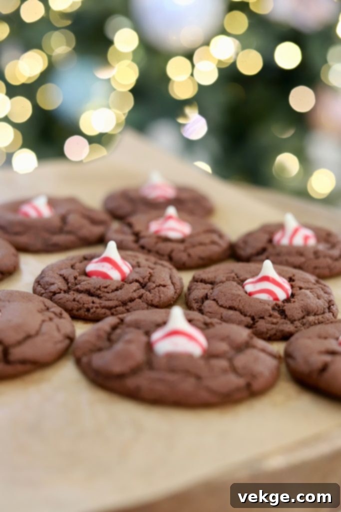 Chocolate cookies with peppermint kisses cooling on a wire rack.