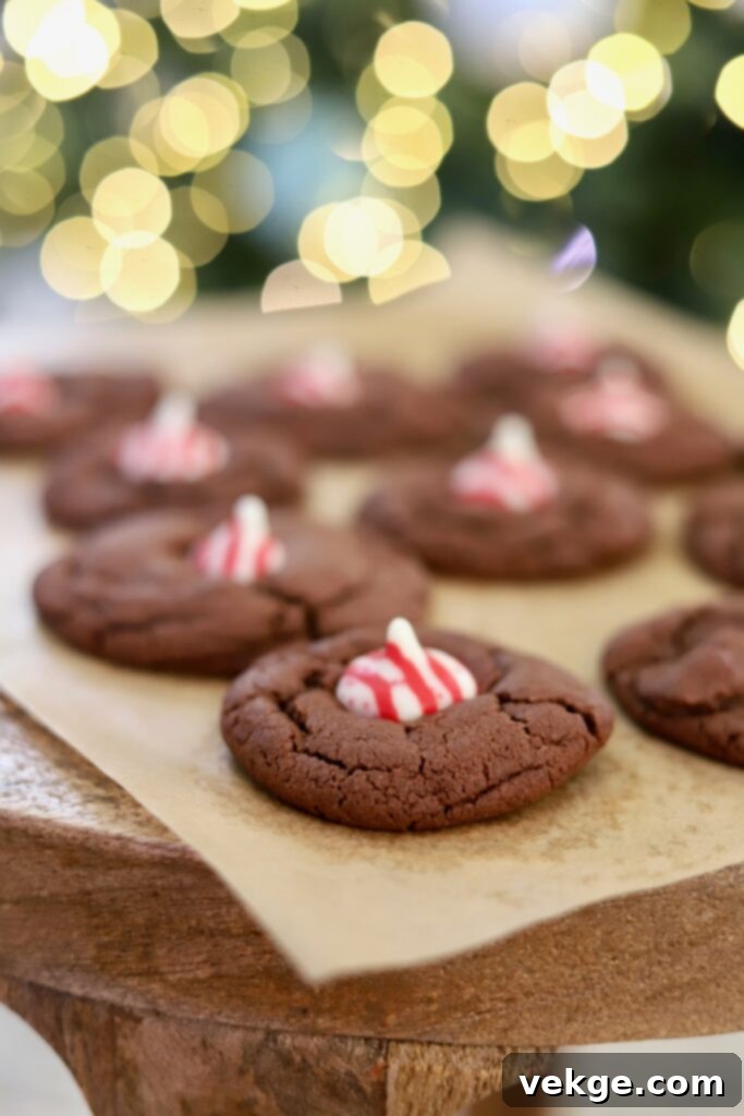 A variety of delicious Christmas cookies including gingerbread and chocolate.
