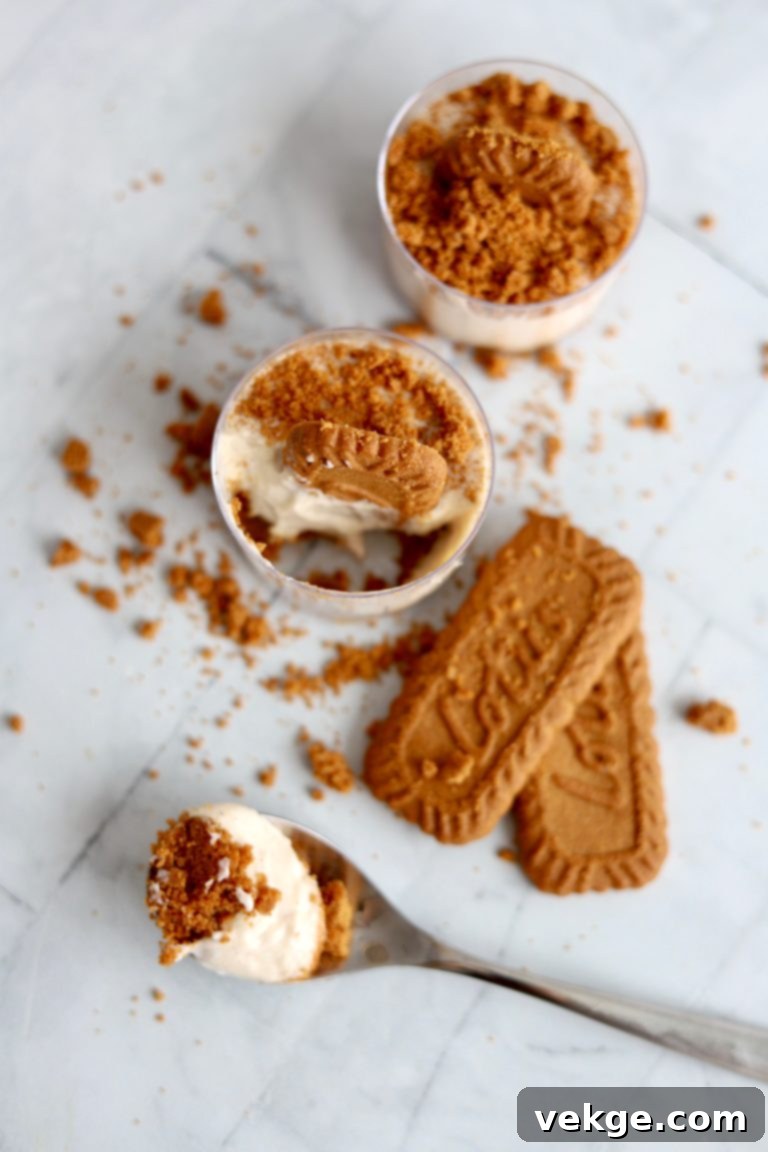 Spiced Biscoff No-Bake Cheesecake Cups 2 Delicious Biscoff Spice No-Bake Cheesecake Cups ready to be served
