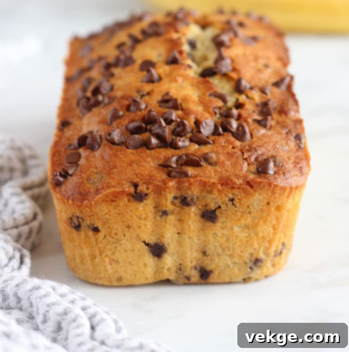 Chocolate Chip Banana Bread and Muffins 4 A delicious slice of chocolate chip banana bread