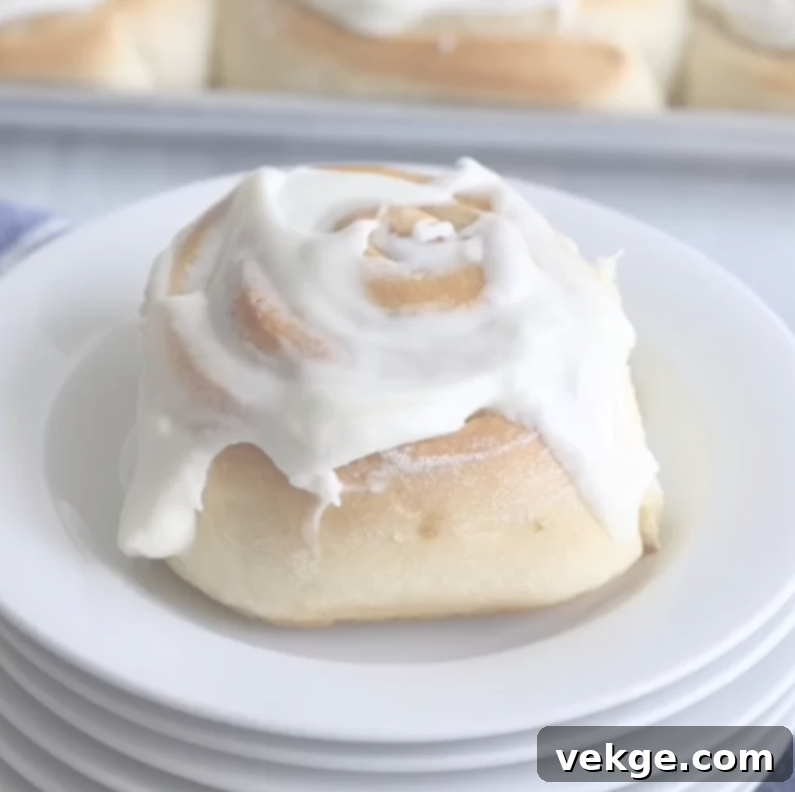 Effortlessly Divine Cinnamon Rolls 24 Quick and Heavenly Cinnamon Rolls