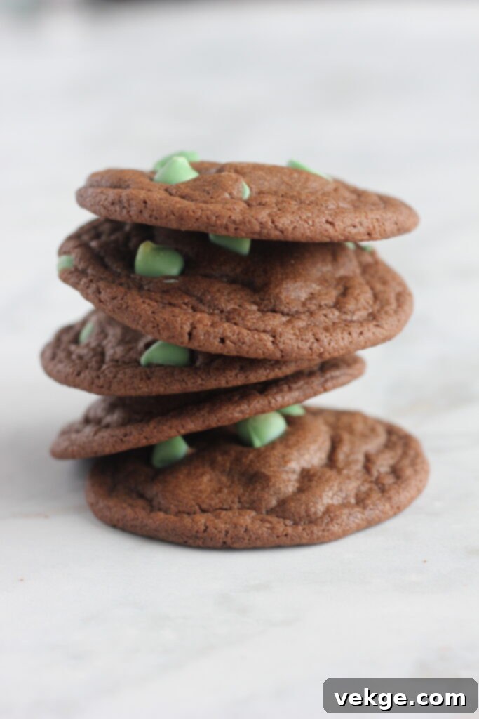 Decadent Chewy Chocolate Cookies 11 Chewy chocolate cookies with classic milk chocolate chips