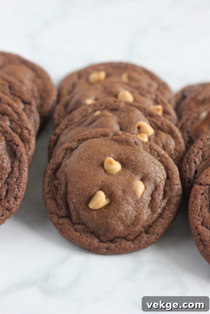 Decadent Chewy Chocolate Cookies 5 Bowl of cookie dough, ready for baking chewy chocolate cookies