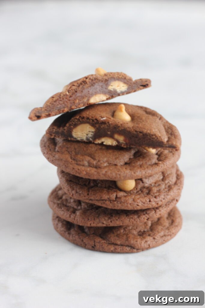 Decadent Chewy Chocolate Cookies 7 Variety of chewy chocolate cookies with different mix-ins