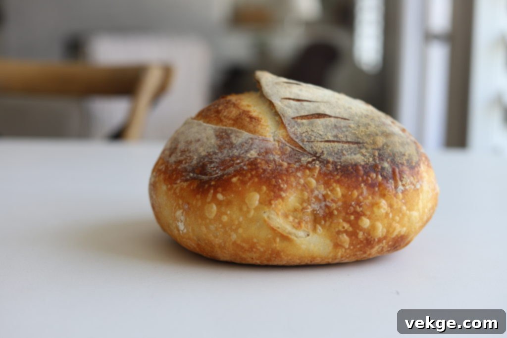 The Ultimate Dutch Oven Sourdough Loaf 2 Beautiful loaf of Dutch oven sourdough bread, showcasing a perfectly golden crust and inviting texture