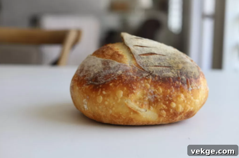 The Ultimate Dutch Oven Sourdough Loaf 12 Crusty Dutch Oven Sourdough Bread