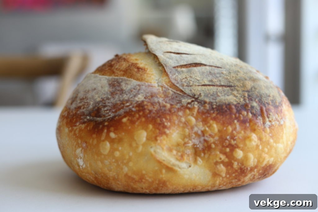 The Ultimate Dutch Oven Sourdough Loaf 4 Detailed shot of a perfectly baked sourdough loaf, highlighting its appealing crust and artisanal quality