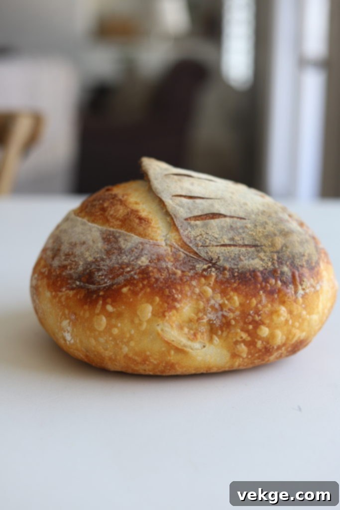 The Ultimate Dutch Oven Sourdough Loaf 5 Vertical shot of a rustic, crusty sourdough loaf, emphasizing its texture and height