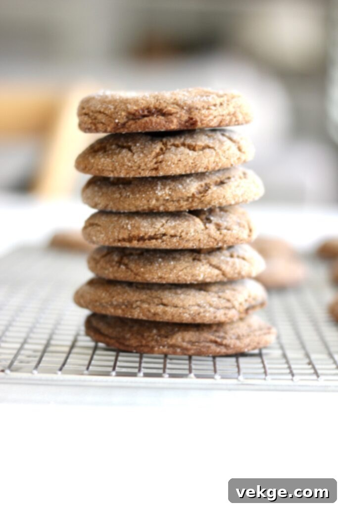 Chewy Ginger Molasses Cookies 2 Close-up of a perfectly baked, crinkly ginger spice cookie showing its soft, chewy texture