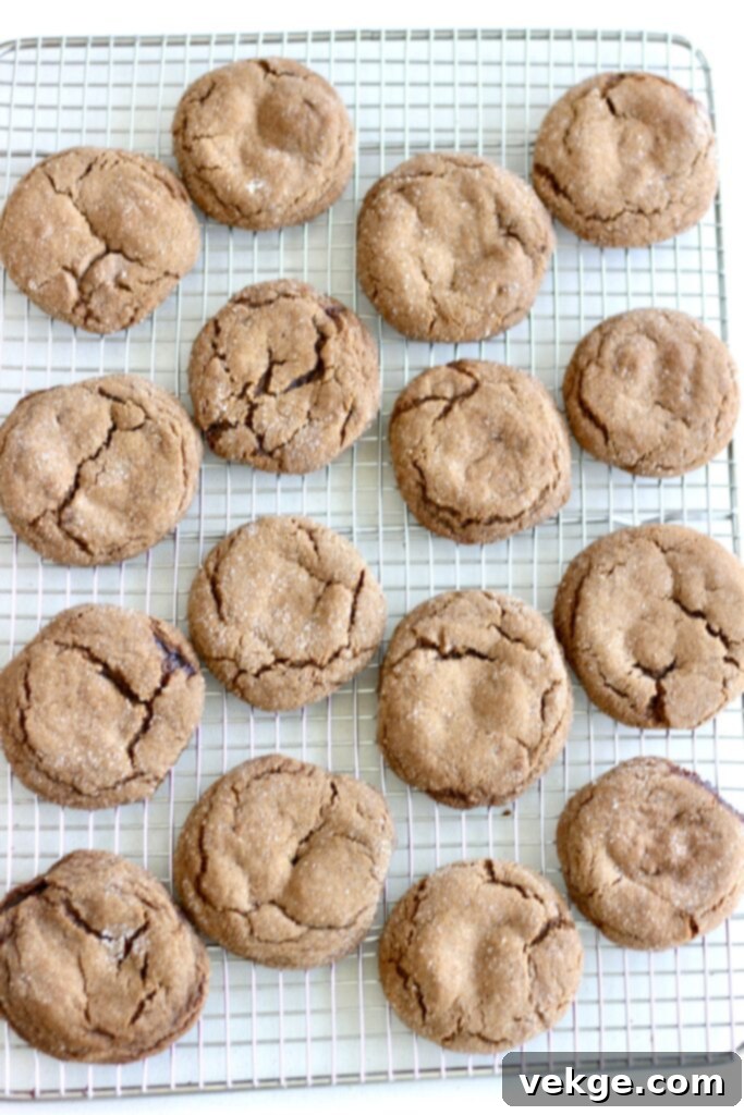 Chewy Ginger Molasses Cookies 6 Hand demonstrating the top-heavy, triangular shaping technique for ginger spice cookie dough balls to achieve perfect texture