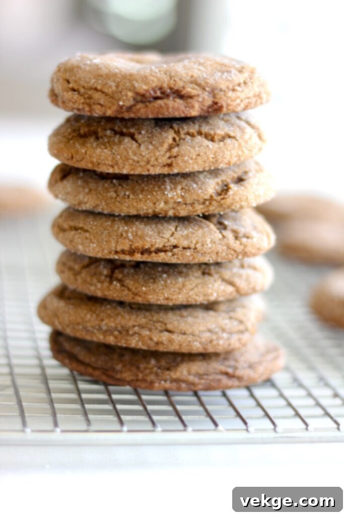 Chewy Ginger Molasses Cookies 8 A stack of freshly baked, soft and chewy ginger spice cookies with sparkling, crinkled tops, ready to be enjoyed