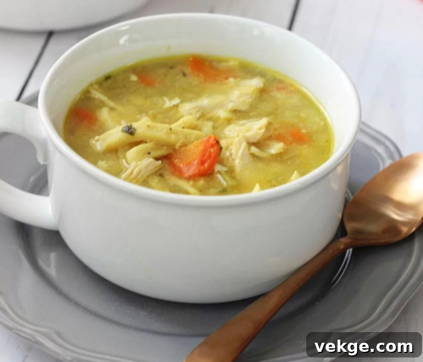 A close-up of a bowl of Instant Pot Chicken Noodle Soup with fresh herbs.