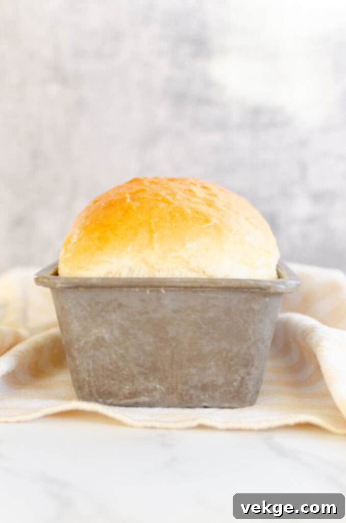 Timeless White Loaf 15 Dough after second rise