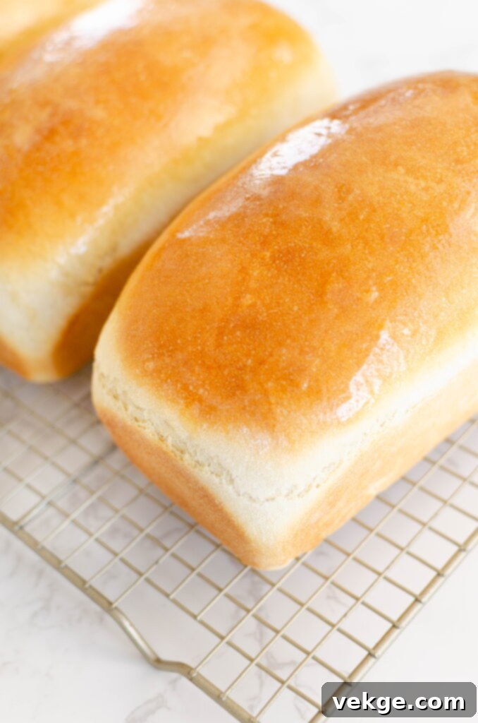 Timeless White Loaf 16 Freshly baked white sandwich bread