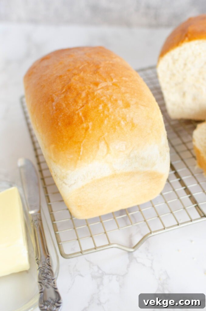 Timeless White Loaf 10 Various flours for baking