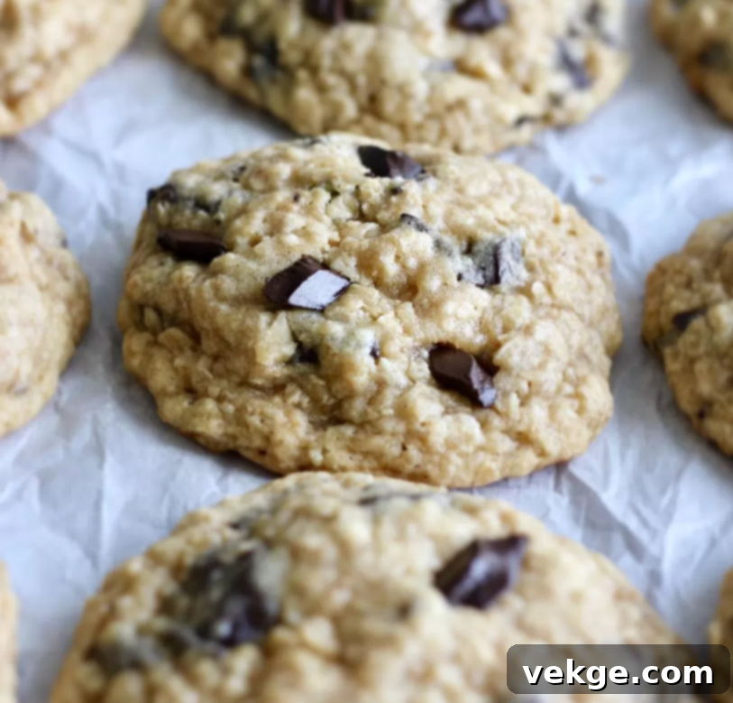A perfectly baked Chewy Oatmeal Chocolate Chunk Cookie, golden brown with visible oats and melted chocolate.